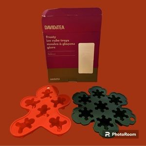 DAVIDsTEA Frosty Ice Cube Trays Set of 2